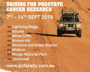 PCFA Rally 2019 header2